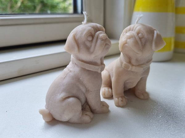 Mops rapsvokslys
