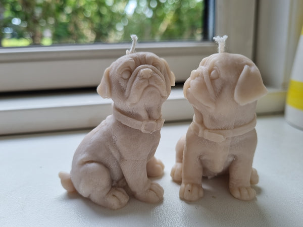 Mops rapsvokslys