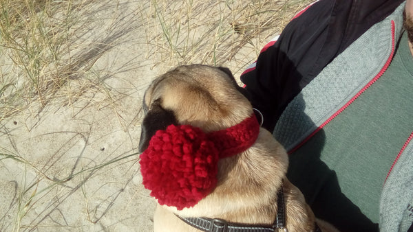 Pyntehalsbånd til hund