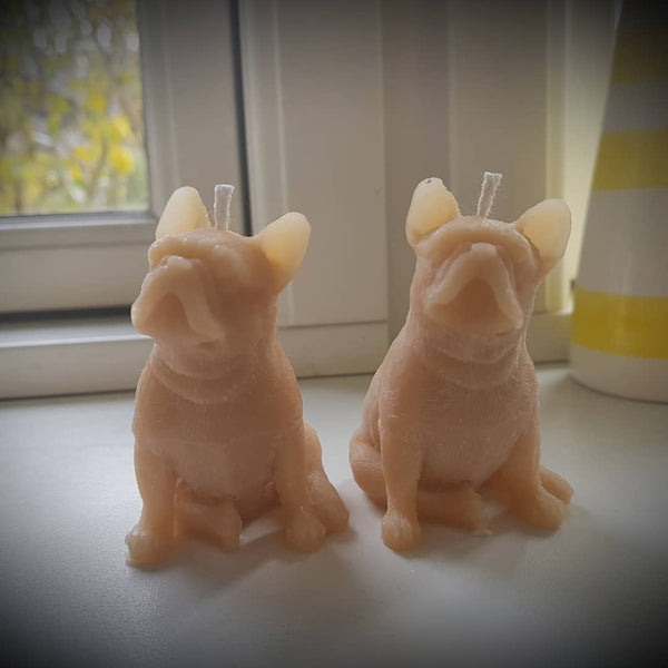 Fransk bulldog stearinlys